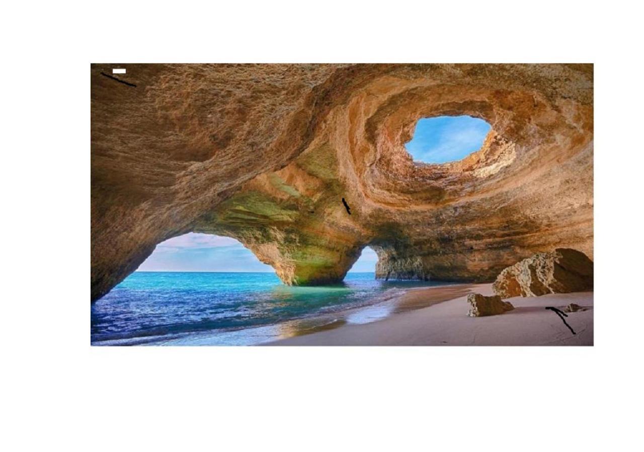 Sea & You Algarve Apartment Лагос Екстериор снимка